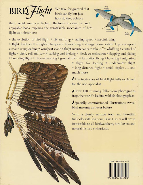 Bird Flight - An Illustrated Study Of Birds' Aerial Mastery