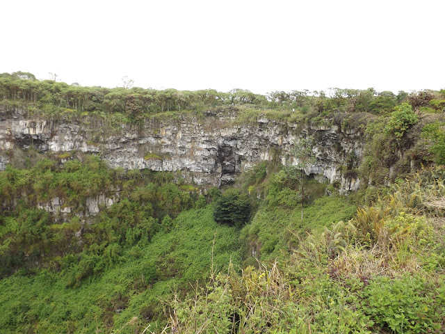 Los Gemelos, Isla Santa Cruz, Islas Galápagos