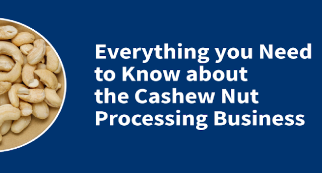 Everything You Need to Know About the Cashew Nut Processing Business