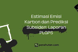 Estimasi Emisi Karbon dan Prediksi Subsiden: Laporan PLGPS