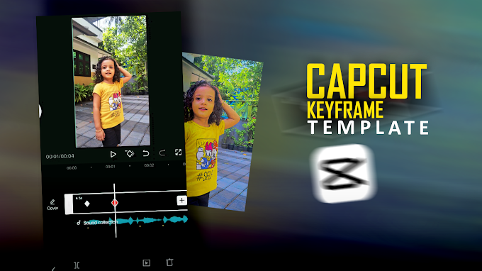Keyframe Adjust Filter CapCut Template 2023