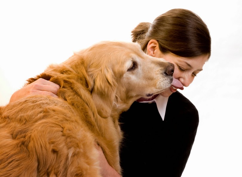 http://www.breyerlaw.com/dog-bites-injury-treatment.html