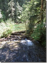 lewis river falls 20