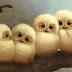 Gif de pollitos de Búhos