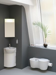 Very Small Bathroom Design