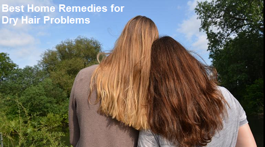 Best Home Remedies for Dry Hair