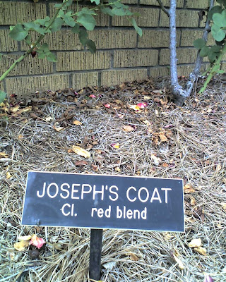 Joseph's Coat Sign