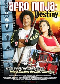 Afro Ninja: Destiny 2008 Hollywood Movie Watch Online