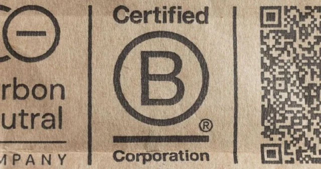 Dr Bronner's B Corp Criticism of Multinational Corporations