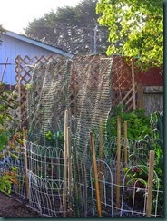 Garden Folly IV, netting 001