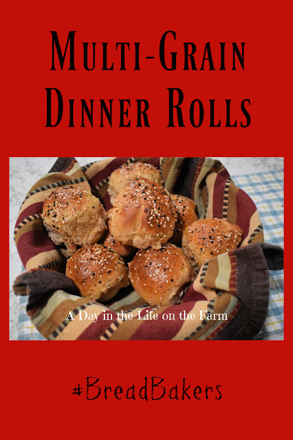 Multi-Grain Dinner Rolls