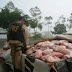 Polícia Rodoviária Federal apreende 700 kg de carne clandestina 
