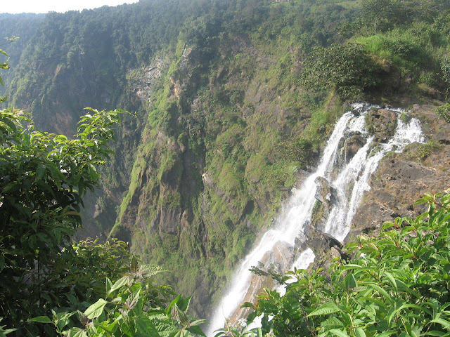 Rani Falls, Jog