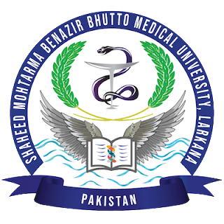 Shaheed Benazir Bhutto Medical College Management jobs in Karachi 2023