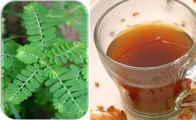 Phyllanthus amarus syrup