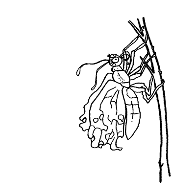 [metaFarf8.gif]