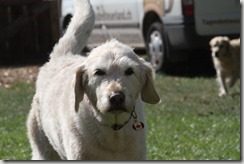 IMG_3033