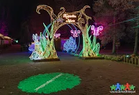 Park Miliona Świateł wrócił do Zabrza w 2023 roku z nową iluminacją nawiązującą do popularnej bajki: Alicja w Krainie Czarów!