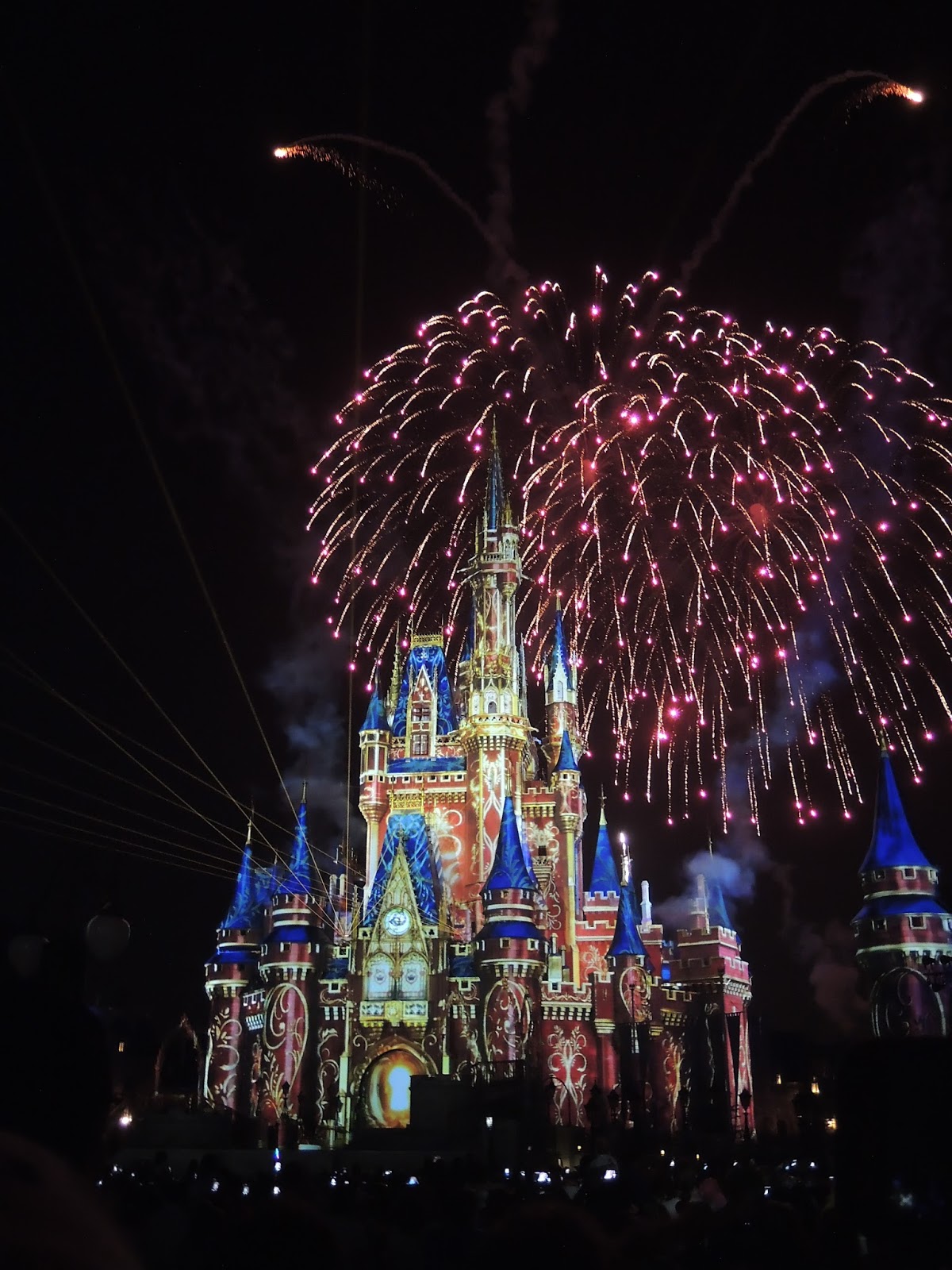 マジックキングダムの夜のショー Happily Ever After の見どころをご紹介