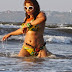 Hot Bikini Yasmeen Khan Bikini pictures