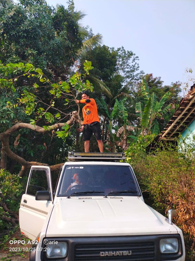 SENKOM RESCUE Kec. Jumapolo evakuasi pohon tubang yang melintang di jalan