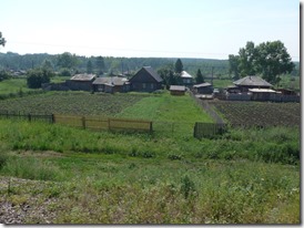 village de siberie  potagers de pommes de terre