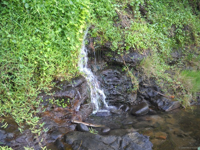 DSCN3559