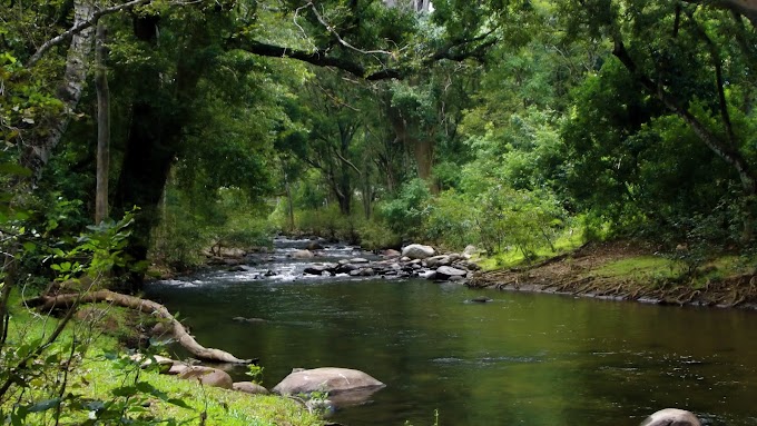 Alampatty,Vasiyapara,Chinnar and Marayoor Trip