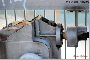 AB DSC_0307_20100508_9563
