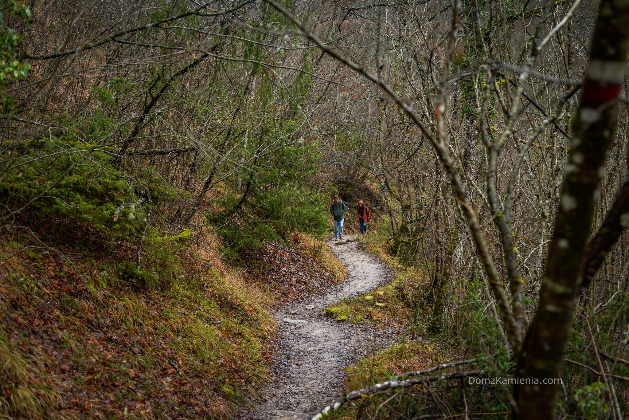 Trekking Acquacheta, Piana dei Romiti, blog Dom Kamienia