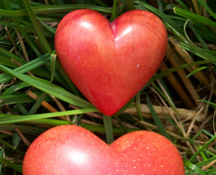 versos de amor cortos. versos de amor cortos. Frases
