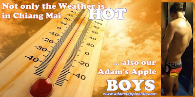 Not only the Weather is HOT in Chiang Mai ... also our Adam's Apple BOYS