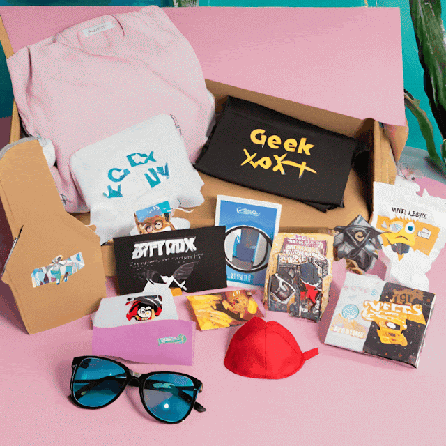 Geek Subscription Box Gift