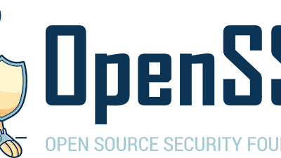 Nasce l'OpenSSF: I leader dell'informatica si uniscono per migliorare la sicurezza del software open source