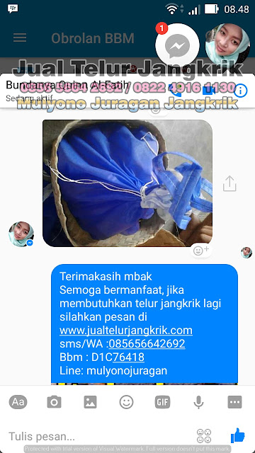 JUAL TELUR JANGKRIK testimoni PART3 dari pelanggan