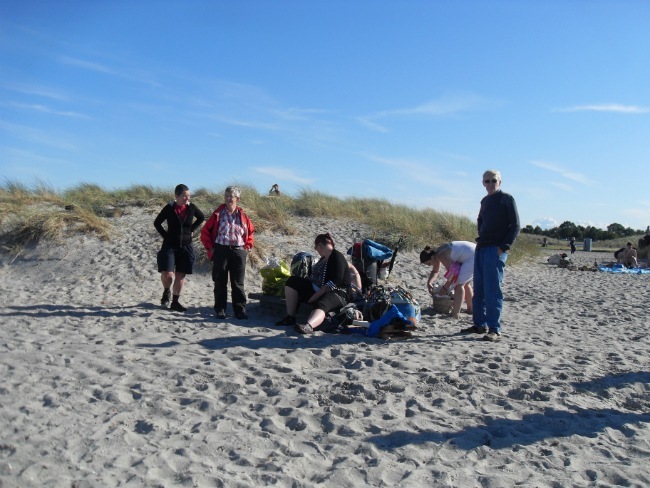 Amager Strand juli 2012