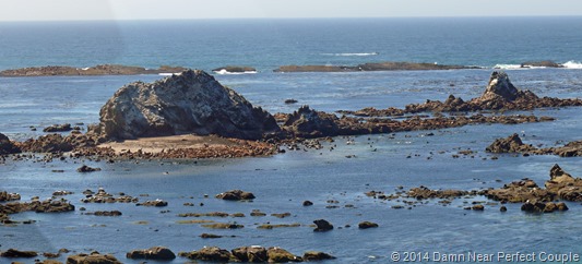 Simpson's Reef