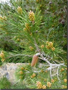 P1000318