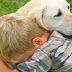 Η αγάπη που προσφέρουν τα σκυλιά στα παιδιά!