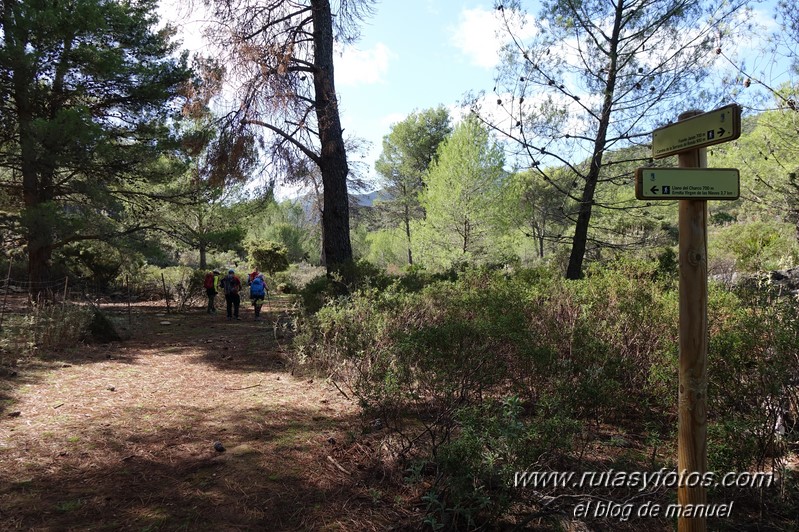 Ermita Virgen de las Nieves - Sendero de las Caleras - Cerro del Tocón - Fuente Janón