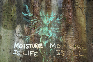 A photo of some graffiti in the tunnel showing a green fairy type creature with the slogan moisture is life written underneath.  Photograph by Kevin Nosferatu for the Skulferatu Project.