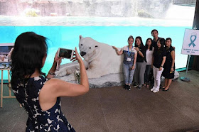 Zoo staff posing with a photograph of Inuka during a private memorial ceremony at the Singapore Zoo last month.