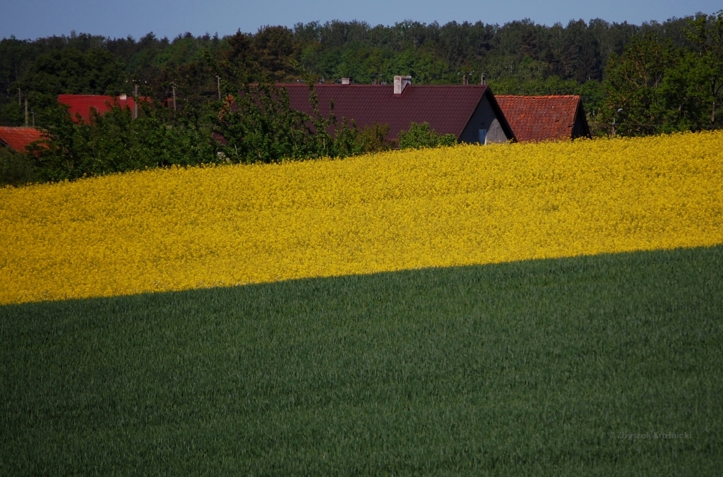 Barczewo-Jesionowo | Najpiękniejsza trasa rowerowa po Warmii tej wiosny