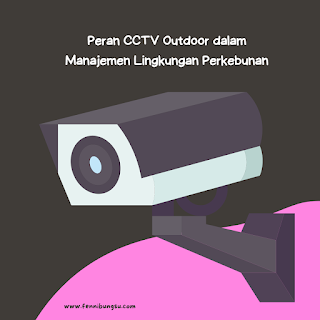 Peran CCTV Outdoor dalam Manajemen Lingkungan Perkebunan
