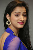 Richa Panai Glamorous Photos-thumbnail-34