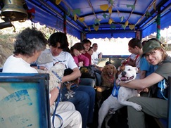 Rota Cãotural (112)