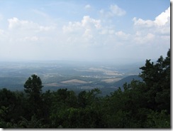 IMG_3480 IMG_3480