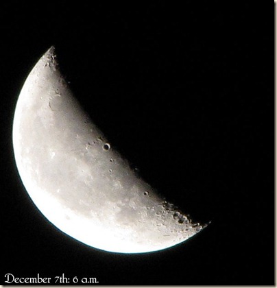 dec7[1]