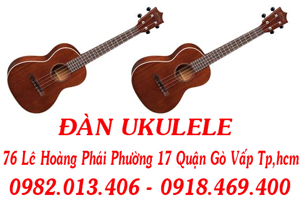 guitar binh tan 3