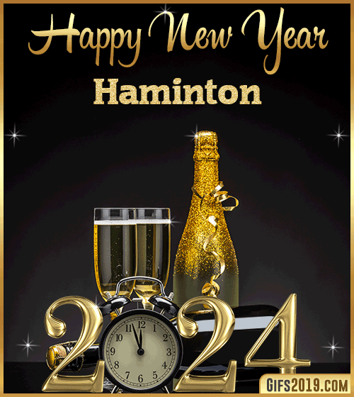 Champagne Bottles Glasses New Year 2024 gif for Haminton